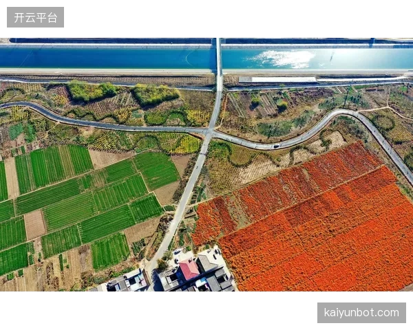 从东海岸到西海岸的巨大场地跨度，对阿克与德容之间的长传调度精准度提出新要求。